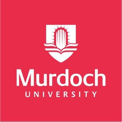 Университет Мердока в Дубае